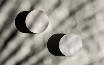 Facilisis leo vel fringilla est ullamcorper eget nulla